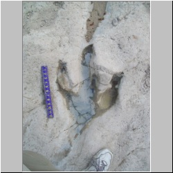 100_0337 (2009-25-07).JPG